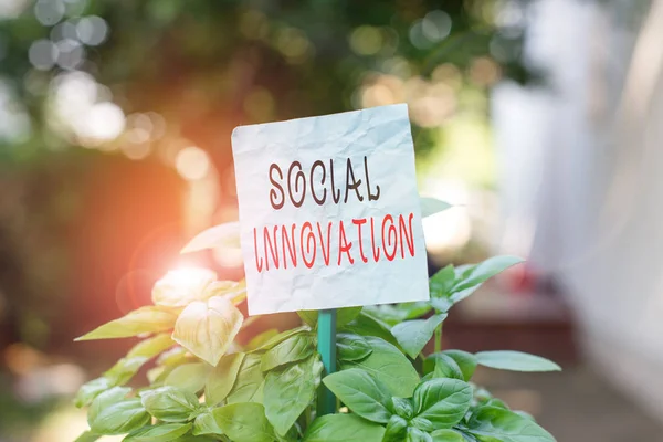 Word writing text Social Innovation. Business concept for practices that aim to meet social needs in a better way Plain empty paper attached to a stick and placed in the green leafy plants.