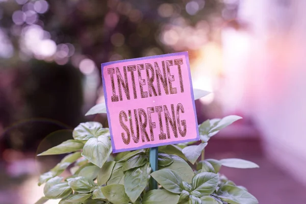 Nota di scrittura che mostra Internet Surf. Business photo showcase navigazione in Internet Navigare nel world wide web Carta normale attaccato per bastone e collocato nella terra erbosa . — Foto Stock