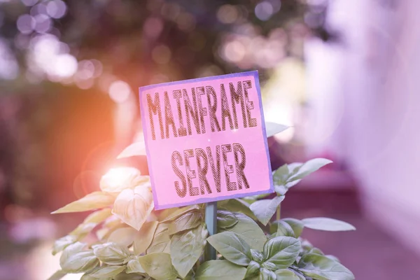 Writing note showing Mainframe Server. Business photo showcasing designed for processing large amounts of information Plain paper attached to stick and placed in the grassy land.