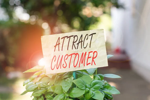 Word writing text Attract Customer. Business concept for to bring more customers or clients to your store or website Plain empty paper attached to a stick and placed in the green leafy plants.