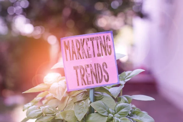 Writing note showing Marketing Trends. Business photo showcasing changes and developments in trading in the market Plain paper attached to stick and placed in the grassy land.