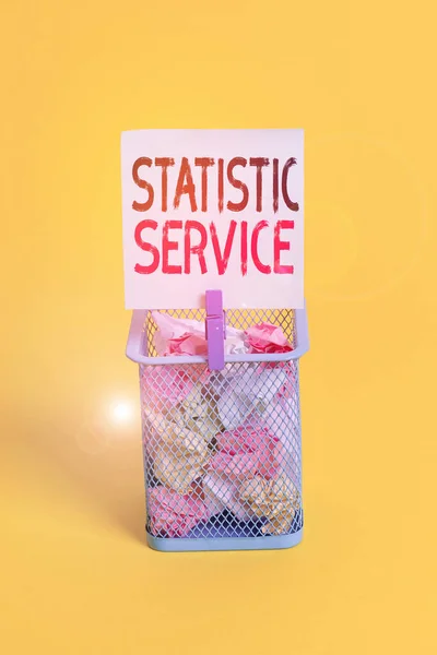 Conceptual hand writing showing Statistic Service. Business photo text economic statistics which detail international trade Trash bin crumpled paper clothespin office supplies yellow.