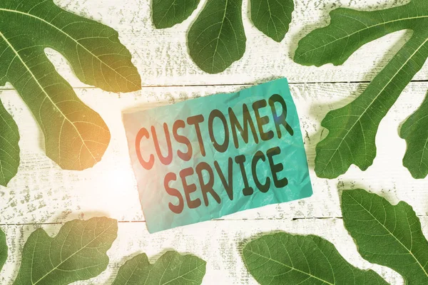 Conceptual hand writing showing Customer Service. Business photo showcasing process of ensuring customer satisfaction with a product Leaves surrounding notepaper above a classic wooden table.