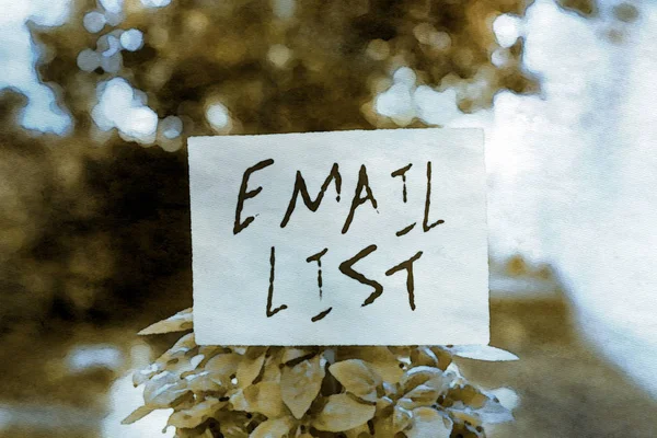 Handwriting text writing Email List. Concept meaning widespread distribution of information to analysisy Internet users Plain empty paper attached to a stick and placed in the green leafy plants.