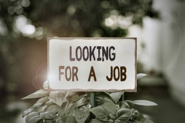 İş aradığını gösteren mesaj işareti var. Kavramsal fotoğraf İş arayan işsiz Huanalysis Kaynakları boş kağıt bir çubuğa bağlanmış ve yeşil yapraklı bitkilere yerleştirilmiş.