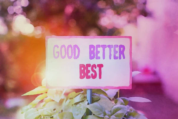 Textová značka ukazující Good Better Best. Koncepční foto Zvýšit kvalitu Zlepšení Dosažení excelence Prostý prázdný papír připevněný ke klacku a umístěný v zelených listnatých rostlinách. — Stock fotografie