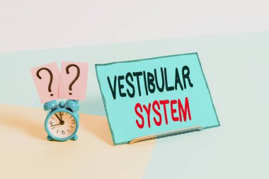 Writing note showing Vestibular System. Business photo showcasing provides the leading contribution to the sense of balance Alarm clock beside a Paper sheet placed on pastel backdrop. clipart