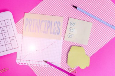 El yazısı prensipleri. İnanç sisteminin temeli olarak hizmet eden temel hakikat kavramını kavramsallaştır. Renkli düz tabloların üzerine yerleştirilen donanım ve bilgisayar şeylerini yaz..