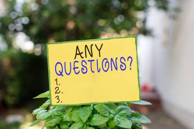 Writing note showing Any Questions Question. Business photo showcasing you say write order to ask demonstrating about something Plain paper attached to stick and placed in the grassy land. clipart