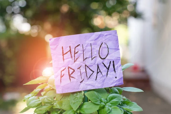 Text sign showing Hello Friday. Conceptual photo used to express happiness from beginning of fresh week Plain empty paper attached to a stick and placed in the green leafy plants.