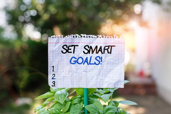 Handwriting text Set Smart Goals. Concept meaning list to clarify your ideas focus efforts use time wisely Plain empty paper attached to a stick and placed in the green leafy plants.