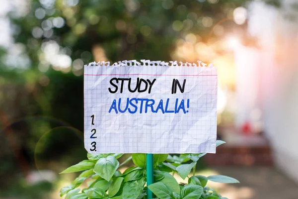 Handwriting text Study In Australia. Concept meaning going into foreign country order complete your studies Plain empty paper attached to a stick and placed in the green leafy plants.