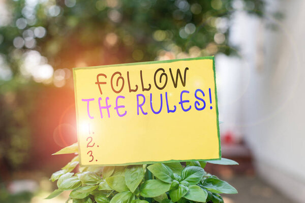 Writing note showing Follow The Rules. Business photo showcasing go with regulations governing conduct or procedure Plain paper attached to stick and placed in the grassy land.