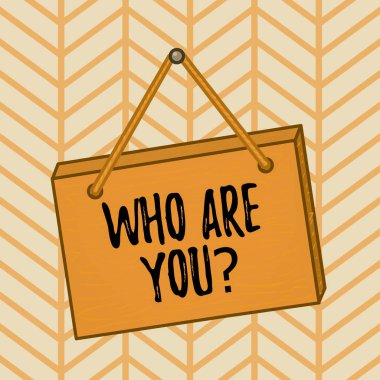 Word writing text Who Are You question. Business concept for asking about demonstrating identity or information Square rectangle unreal cartoon wood wooden hang down on the coloured wall.