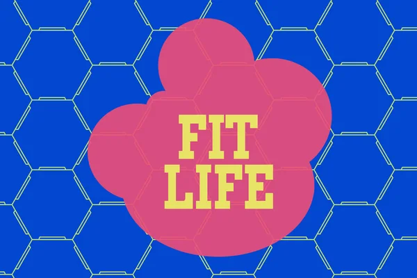 Word writing text Fit Life. Business concept for maintaining a healthy weight with diet and exercise Healthy living Hexagonal figures design. Modern geometric background honeycombed pattern. — 图库照片