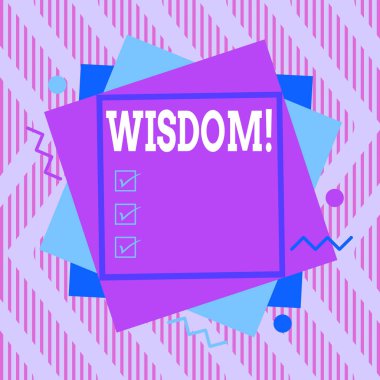 Sözcük yazma Bilgeliği. İş kalitesi konsepti deneyim ve iyi muhakemeye sahip olmak asimetrik biçimsiz biçim şekli nesne çok renkli tasarımı özetliyor.