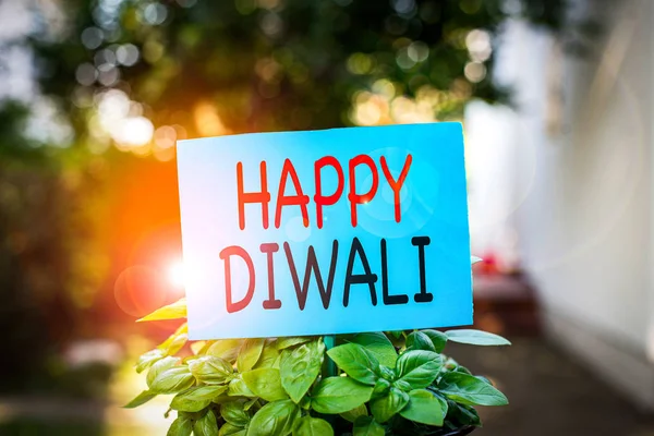 Schrijfbriefje met Happy Diwali. Zakelijke foto presentatie festival van lichten die gevierd door miljoenen Hindoes Plain papier bevestigd aan stok en geplaatst in het grasland. — Stockfoto