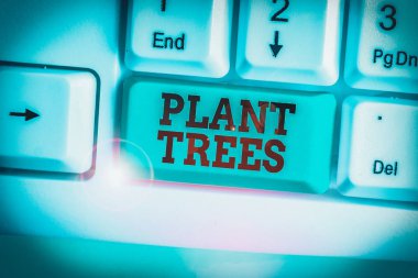 Conceptual hand writing showing Plant Trees. Business photo showcasing process of planting a tree for land cultivation and forestry.