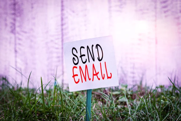 Text sign showing Send Email. Conceptual photo the system for using computers to send messages over the internet Plain empty paper attached to a stick and placed in the green grassy land.