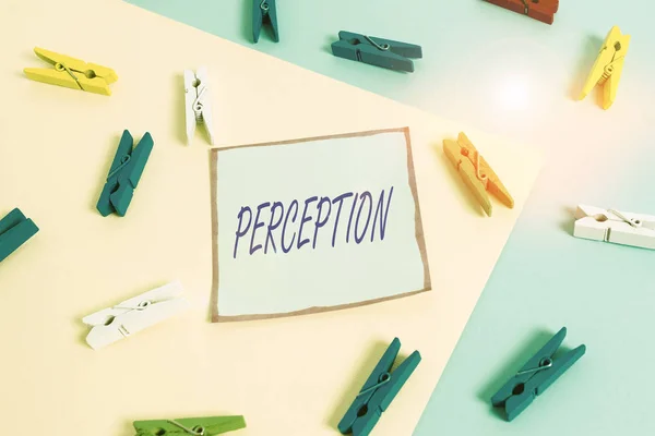 Word Writing Text Perception Business Photo Showcasing Individuals Organize Interpret — Stockfoto