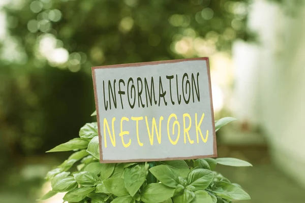 Conceptual hand writing showing Information Network. Concept meaning computers were linked together to share information Plain paper attached to stick and placed in the grassy land