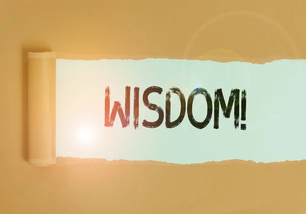 Text Sign Showing Wisdom Business Photo Text Ability Use Your — Stockfoto