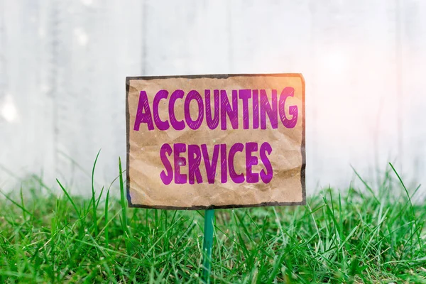 Handwriting Text Writing Accounting Services Conceptual Photo Analyze Financial Transactions — Stock Photo, Image