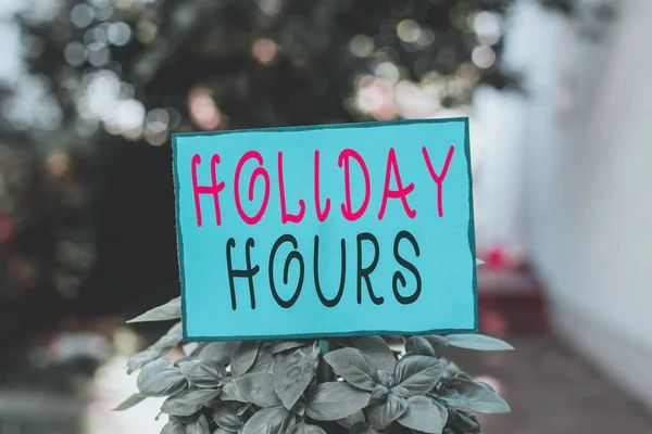 Text Sign Showing Holiday Hours Business Photo Text Employee Receives — 스톡 사진