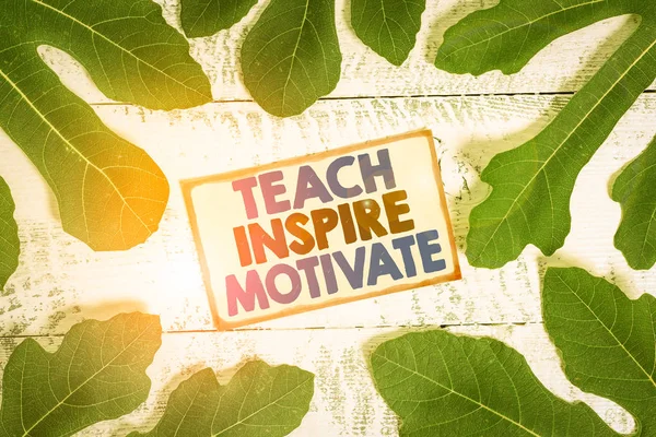 Κείμενο Που Δείχνει Teach Inspire Motivate Business Photo Text Spark — Φωτογραφία Αρχείου