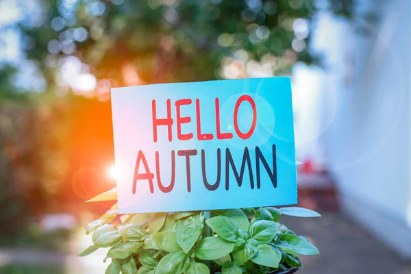 Writing Note Showing Hello Autumn Business Concept Season Summer Leaves — 스톡 사진