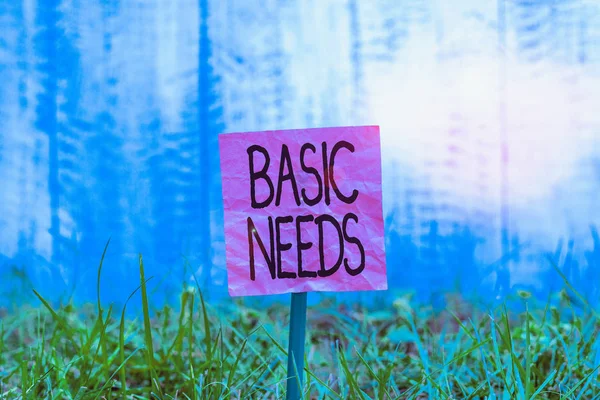 Conceptual hand writing showing Basic Needs. Concept meaning something that you must have in order to sustain or live life Plain paper attached to stick and placed in the grassy land