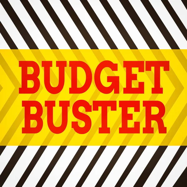 Palavra Escrita Texto Orçamento Buster Foto Negócios Mostrando Despreocupado Gastando — Fotografia de Stock