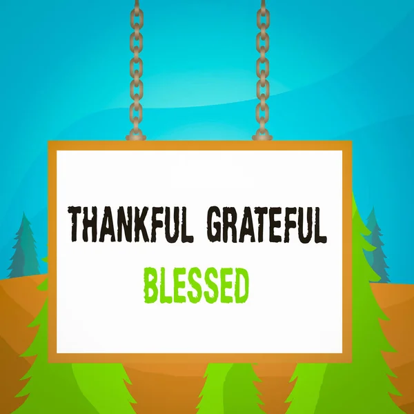Slovo Psaní Textu Vděčný Vděčný Požehnaný Obchodní Fotografie Showcasing Ocenění — Stock fotografie