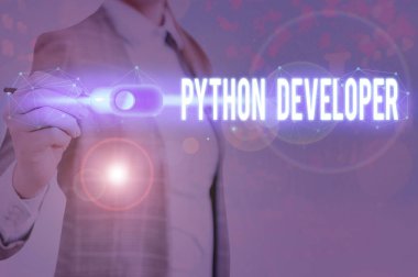 El yazısı Python Geliştirici. Sunucu tarafındaki web uygulama mantığını yazmaktan sorumlu kavramsal fotoğraf