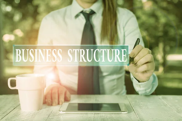 Εννοιολογική Γραφή Χέρι Δείχνει Business Structure Έννοια Έννοια Οργάνωση Πλαίσιο — Φωτογραφία Αρχείου