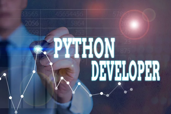 Python Geliştiricisini gösteren not yazılıyor. Sunucu tarafındaki web uygulaması mantığını yazmaktan sorumlu iş konsepti