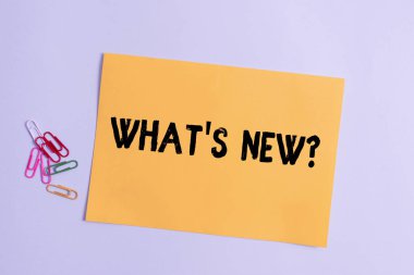 Kelime yazma metni Yeni Soru. Birisine canlı olaylarını sorduğunuzda iş fotoğrafı sergisi. Pastel renk arkaplanının üzerine yerleştirilmiş basit karton ve yazı ekipmanları.