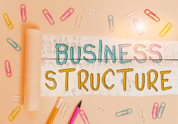 Znak Tekstowy Pokazujący Strukturę Biznesową Business Photo Showcasing Struktura Organizacyjna — Zdjęcie stockowe