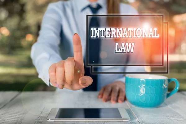 Writing note showing International Law. Business photo showcasing system of treaties and agreements between nations Business woman sitting by the table with cup of coffee and mobile phone.