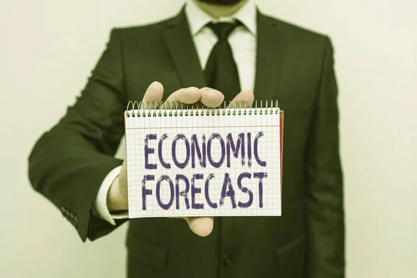 Handwriting Text Writing Economic Forecast Conceptual Photo Attempting Predict Future — Stock Photo, Image