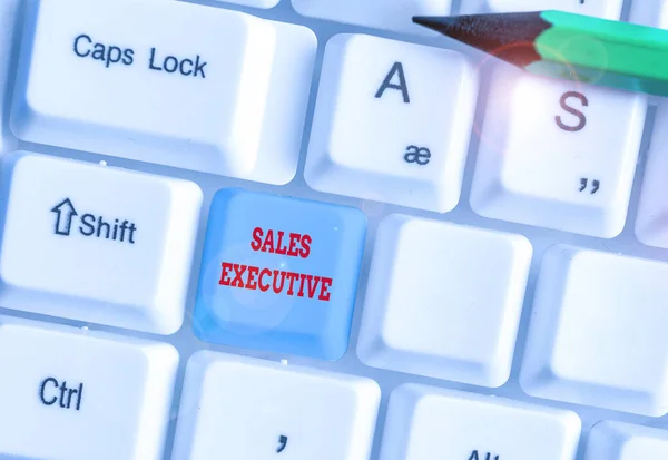 Conceptual hand writing showing Sales Executive. Concept meaning responsible for the overall sales activities of the company