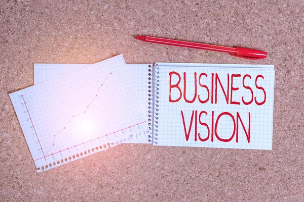 Conceptual Hand Writing Showing Business Vision Concept Meaning Description What — Stock Photo, Image