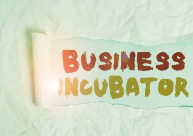 Kelime yazma işi kuluçka makinesi. Yeni ve yeni başlayan şirketlerin ortadan ikiye bölünmüş kartonlarını geliştirmelerine yardım eden iş fotoğrafçılığı şirketi, sade bir masa arkaplanının üzerine yerleştiriliyor.