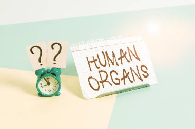 Huanalysis Organlar 'ı gösteren mesaj işareti. İş fotoğrafı metni Huanaliz gövdesinin dahili üreme yapısı Mini boyutta alarm saati pastel arka plana yaslanmış kağıt bir çarşaf yanında