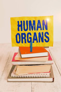 Huanalysis Organlar 'ı gösteren mesaj işareti. Huanalysis vücut yığınının dahili cinsel organlarını gösteren iş fotoğrafı yığını defter, çamaşır tokası, hatırlatıcı renkli beyaz ahşap.