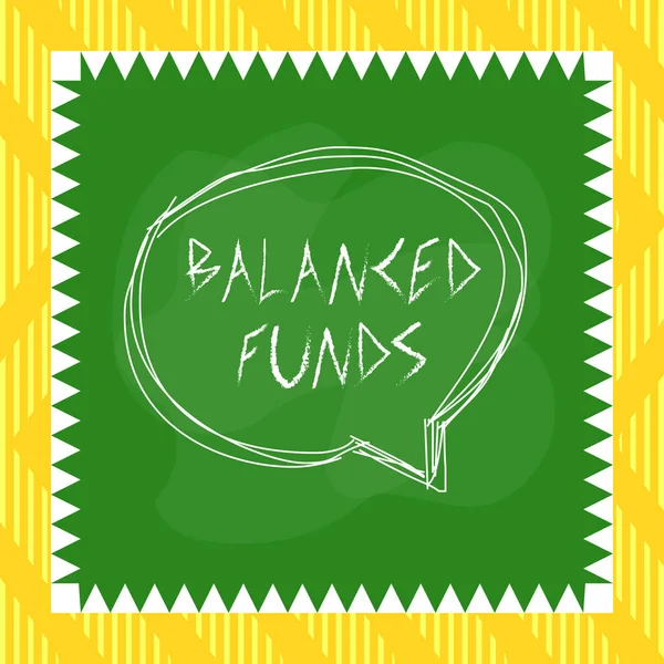 Texto Para Escrita Palavras Balanced Funds Foto Negócios Mostrando Fundo — Fotografia de Stock