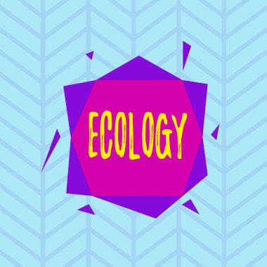 Conceptual hand writing showing Ecology. Concept meaning Branch of science relation organisms environment Scientific study Asymmetrical format pattern object outline multicolor design
