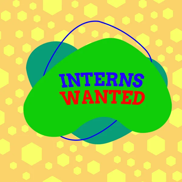 Text Sign Showing Interns Wanted Business Photo Text Temporary Position — Stock Photo, Image