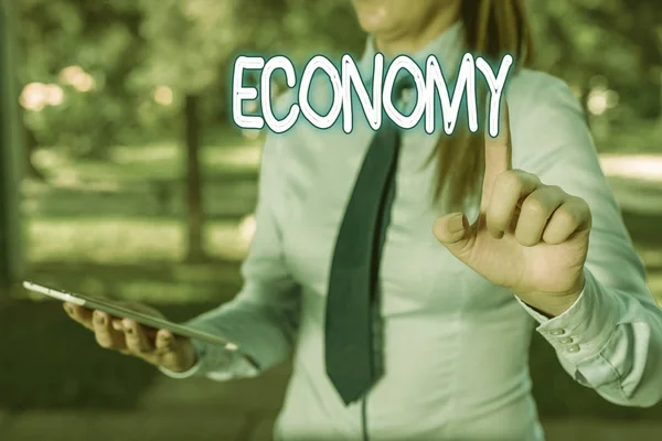 Woord Schrijven Tekst Economie Business Photo Showcasing Management Van Financiële — Stockfoto