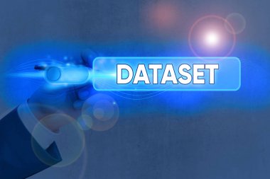 Dataset 'i gösteren kavramsal el yazısı. Belirli bir konu ile ilgili sayıların veya değerlerin iş fotoğrafı sergilenmesi.